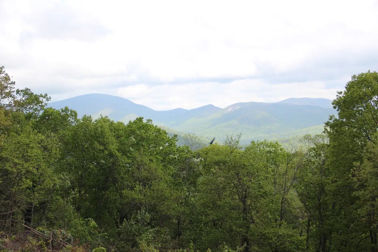 Forested foreground below a line of blue Blue Ridge peaks, seen from the Chestatee Overlook off GA 60 in Lumpkin County