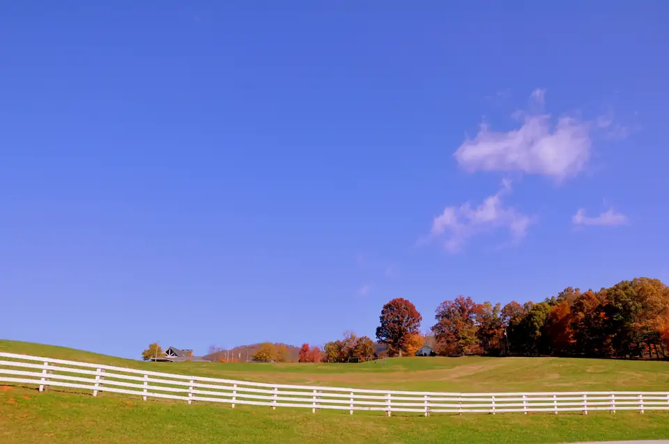Rolling pasture behind a long white four-board fence, autumn trees along the ridge under a deep blue sky